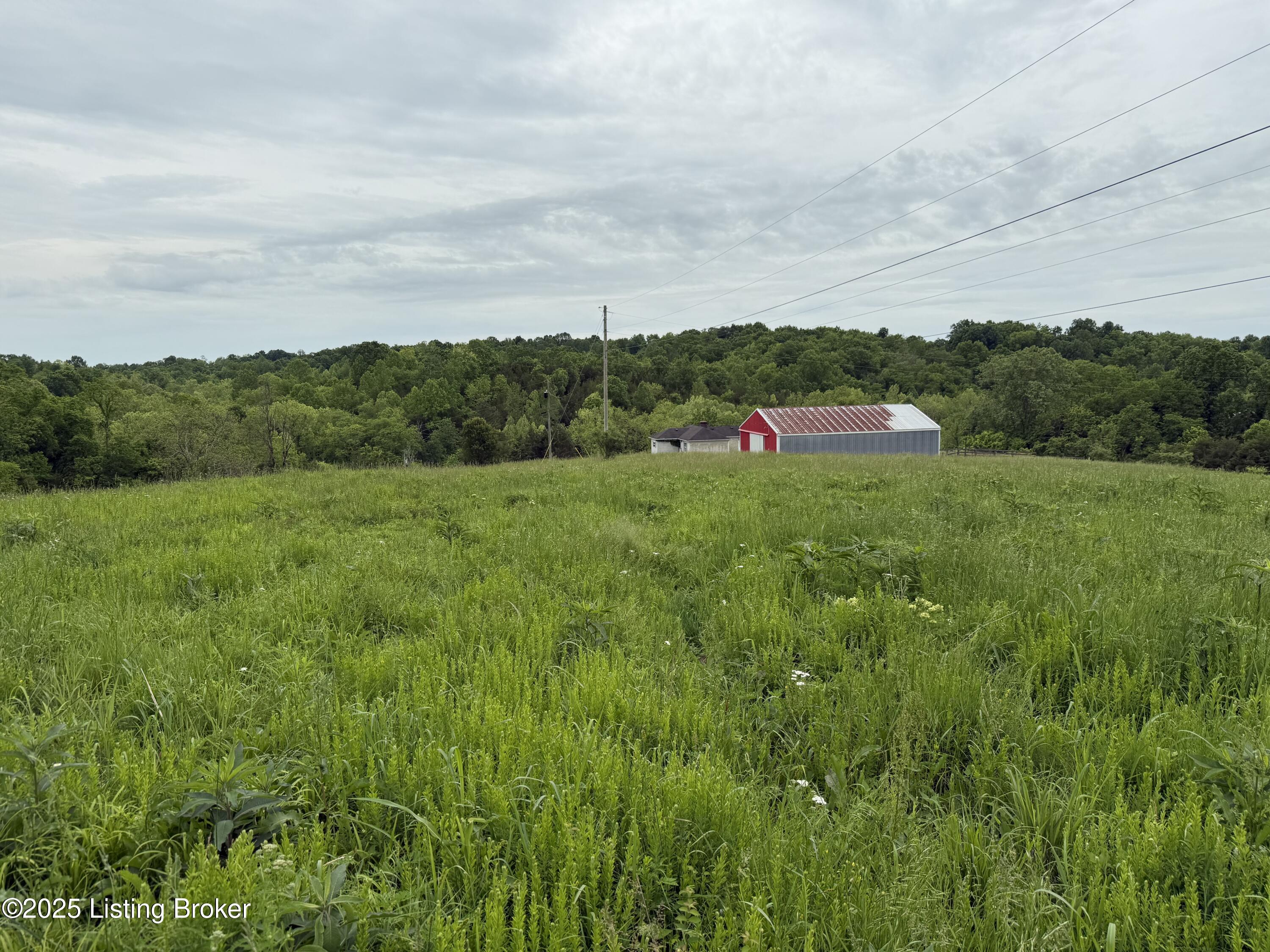 3940 Tick Creek Road Springfield, KY 40069 - Photo 15 of 18 IMG_5663