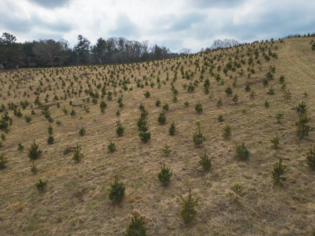 Tbd Long Mountain Road Southwest Willis, VA 24380 - Photo 20 of 66 Gallery Image 20