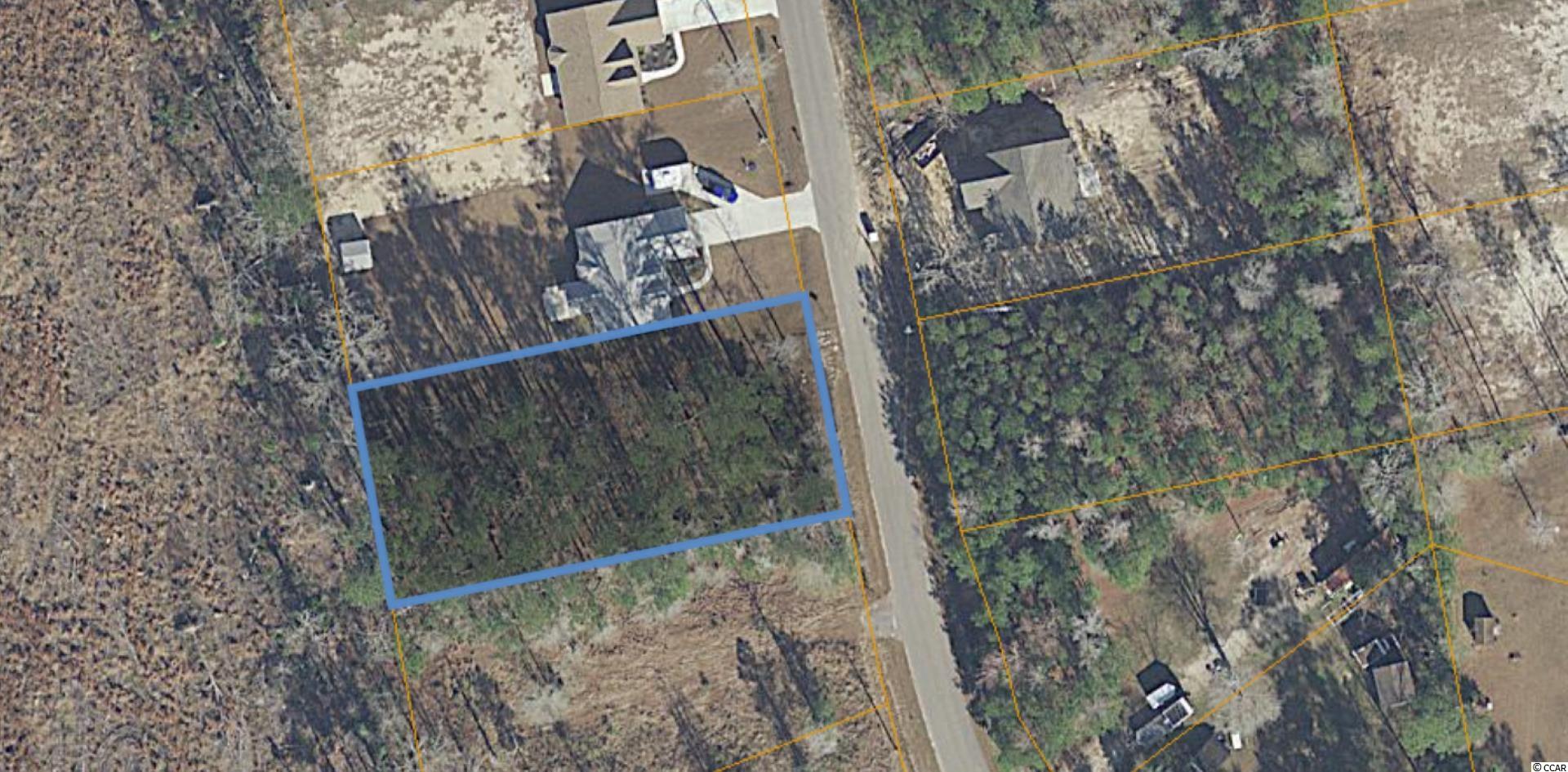 Lot 10 Sellers Road Conway, SC 29526 - Photo 1 of 7 Gallery Image 1