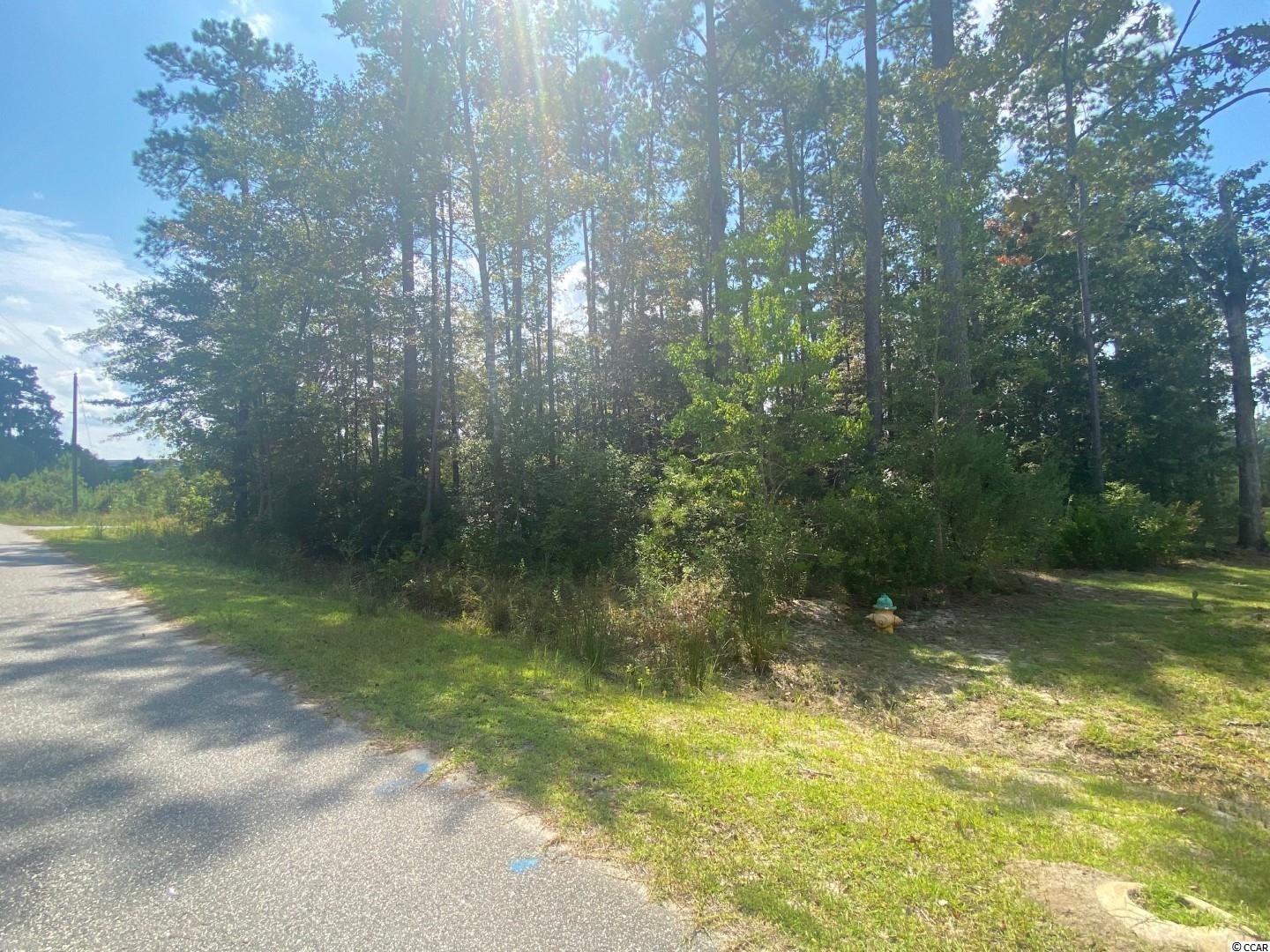 Lot 10 Sellers Road Conway, SC 29526 - Photo 6 of 7 Gallery Image 6