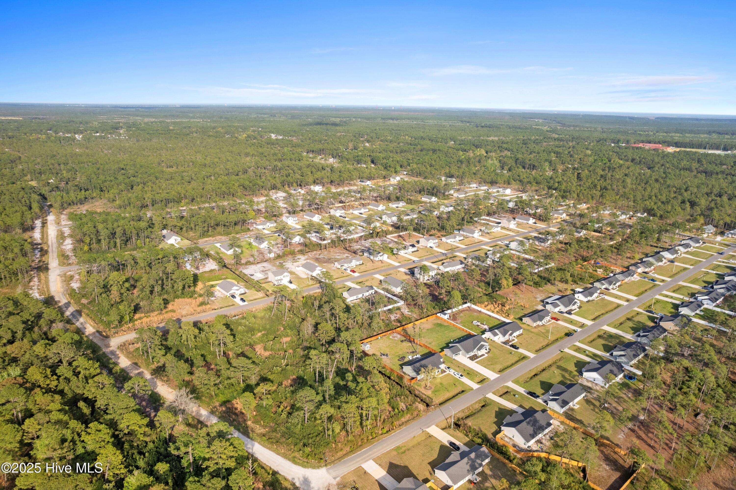 950 Plymouth Road Boiling Spring Lakes, NC 28461 - Photo 4 of 23 The Highlands at Boiling Spring Lakes