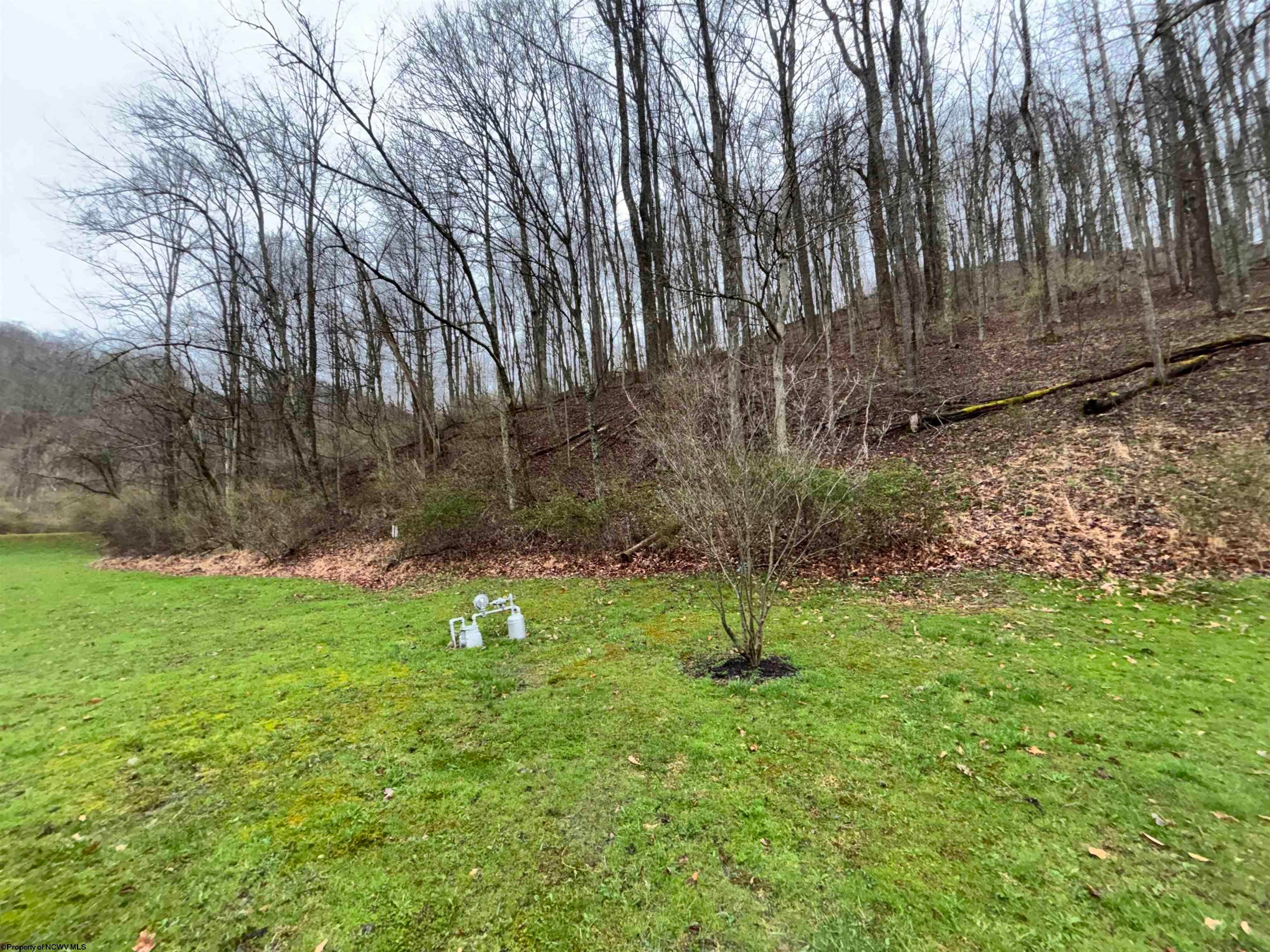 1058 Bean Rd Union West Union, WV 26456 - Photo 35 of 42 Gallery Image 35