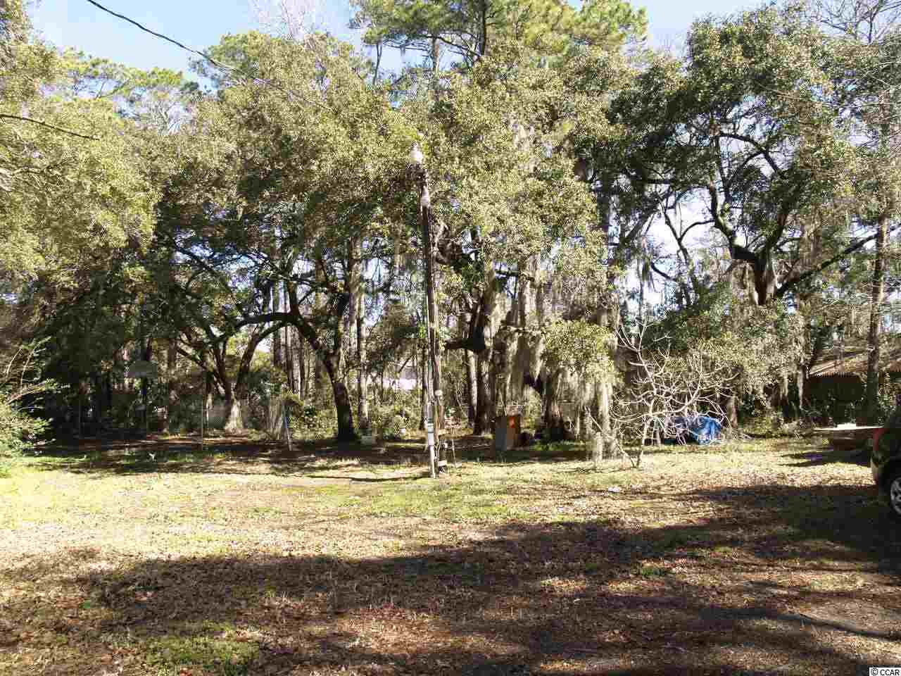 585-599 South Causeway Road Pawleys Island, SC 29585 - Photo 3 of 4 Gallery Image 3