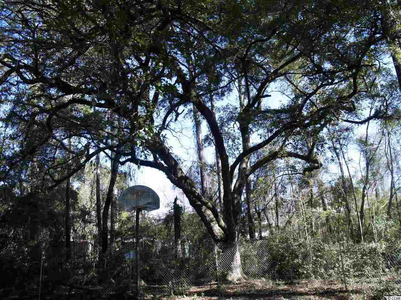 585-599 South Causeway Road Pawleys Island, SC 29585 - Photo 4 of 4 Gallery Image 4
