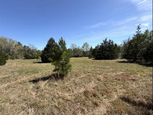 a view of a dry yard with trees