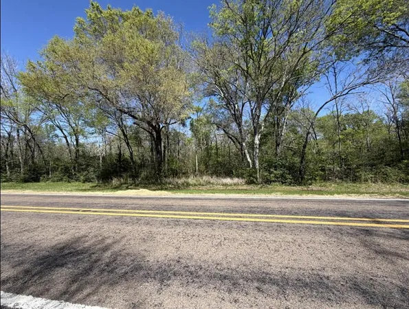 a view of a yard with large trees