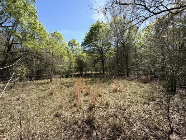 a view of backyard with trees
