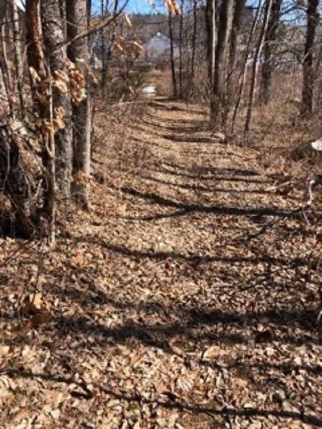 180 Main Street Wakefield, NH 03887 - Photo 34 of 39