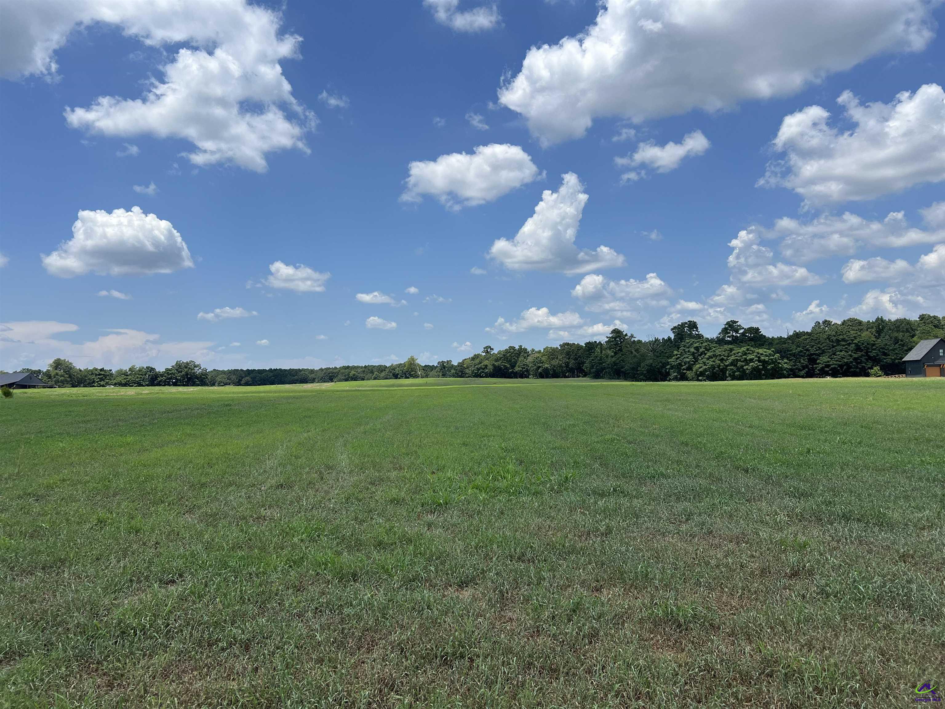 Gilbert Road Elko, GA 31025 - Photo 3 of 7