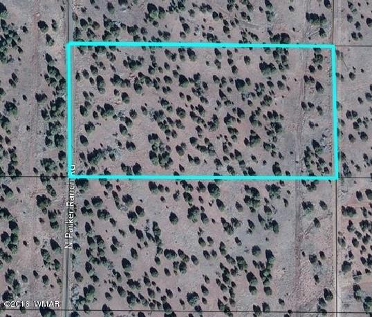 Tbd Parker Ranch Road Show Low, AZ 85901 - Photo 1 of 7 Gallery Image 1