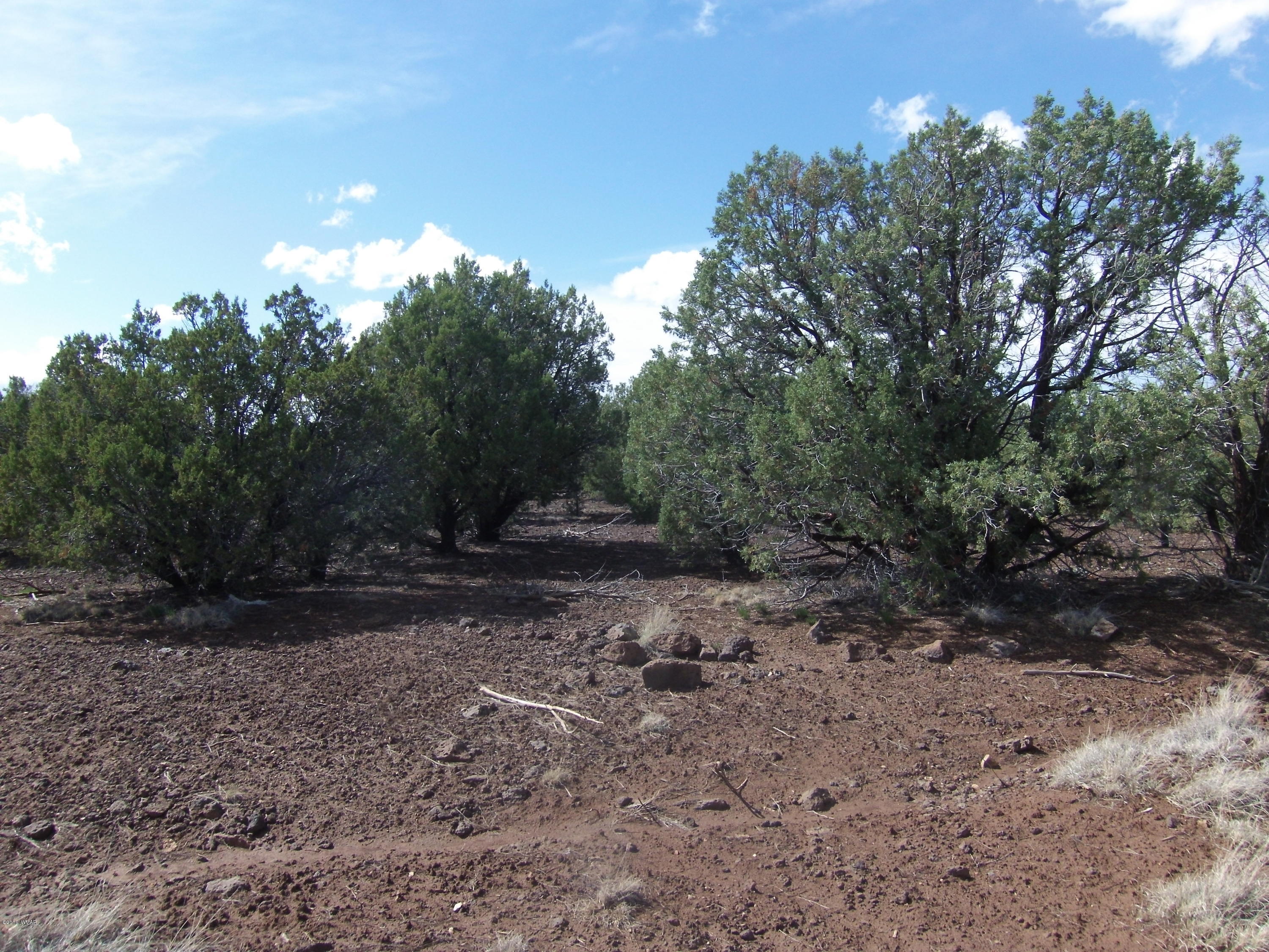 Tbd Parker Ranch Road Show Low, AZ 85901 - Photo 7 of 7 Gallery Image 7