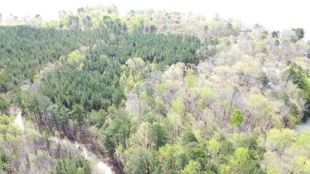 a close up of a plant in a garden