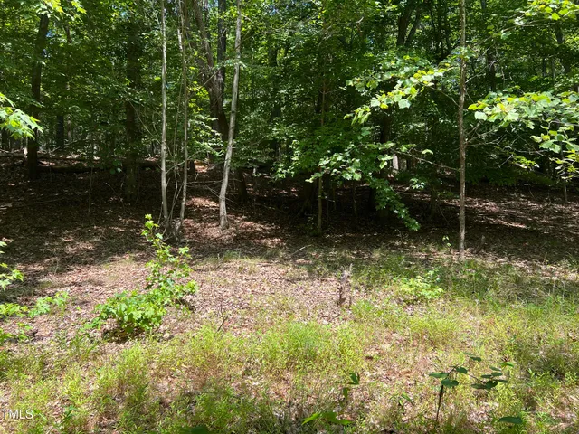 a view of outdoor space and a yard