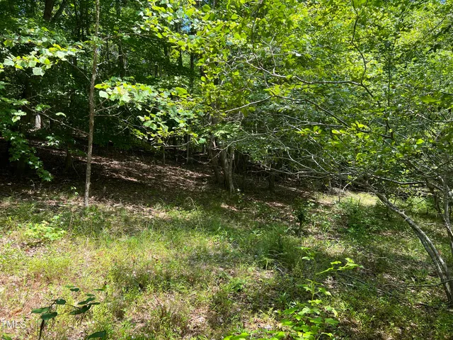 a backyard of a house with lots of trees