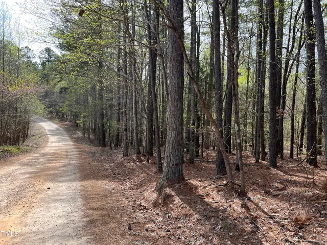 a view of a backyard with trees