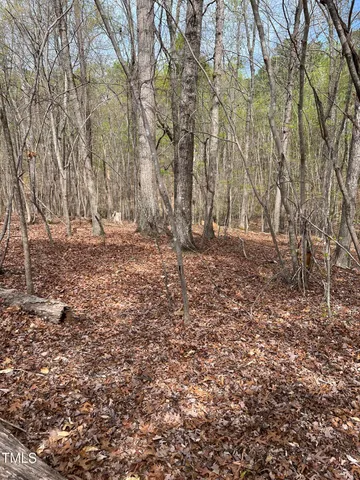 a view of outdoor space with deck and trees
