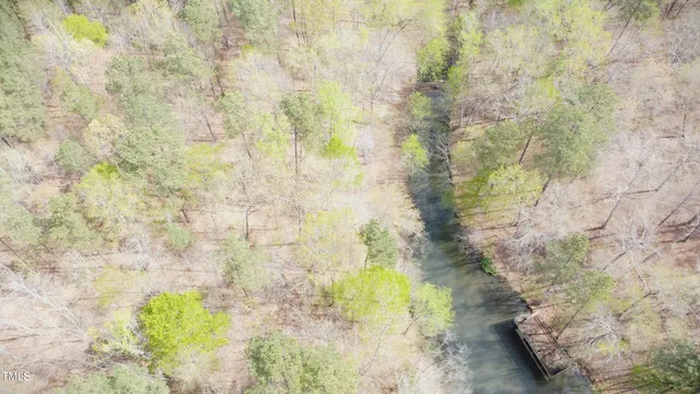 a close up of a plant