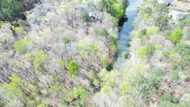 a close up of a plant in a garden