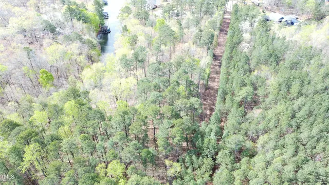 a close up of a plant