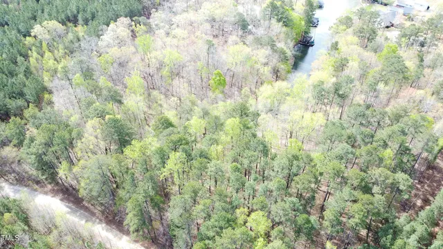 a view of a forest with trees in the background