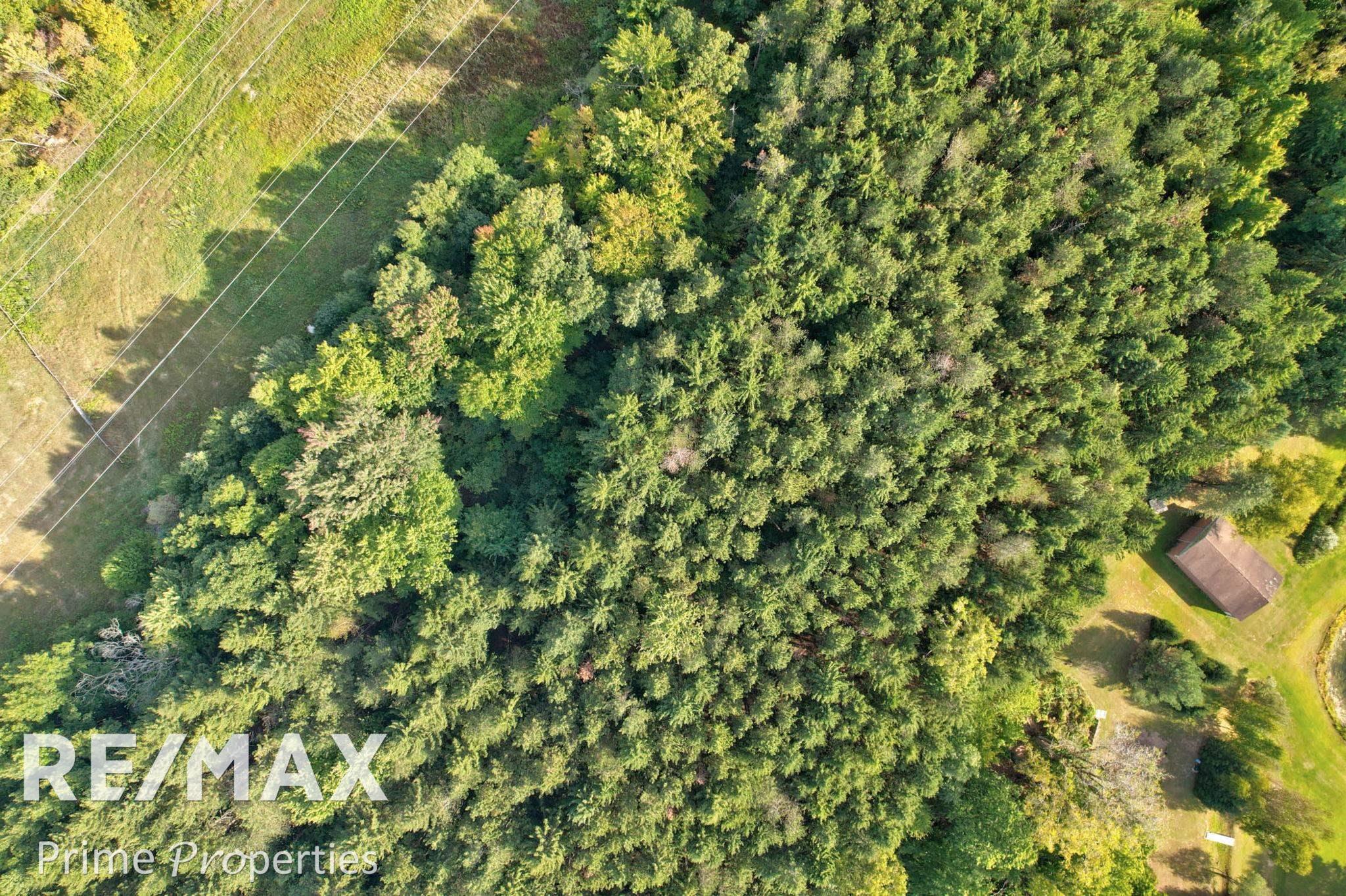 13278 Center Road Clio, MI 48420 - Photo 85 of 94