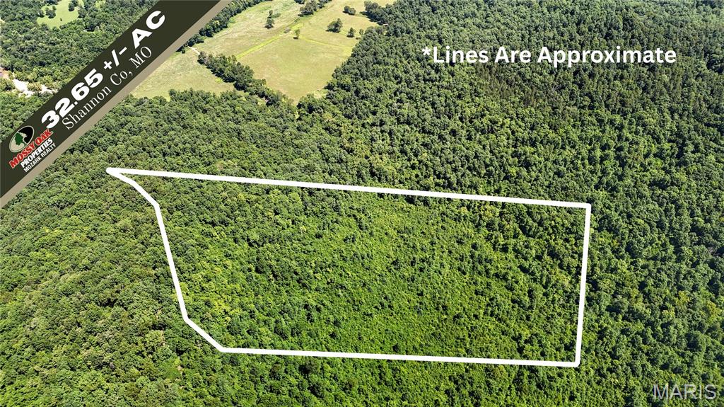 Tbd Tbd Antler Ridge Bunker, MO 63629 - Photo 1 of 26