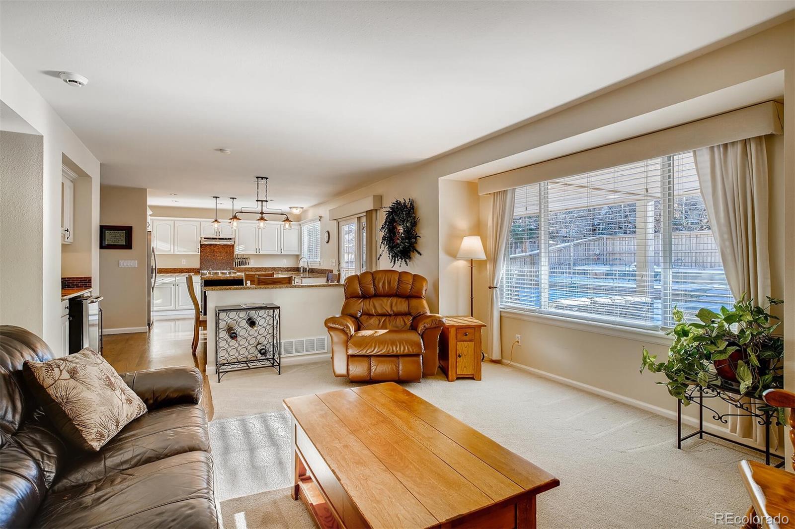 10113 Woodrose Court Highlands Ranch, CO 80129 - Photo 11 of 27