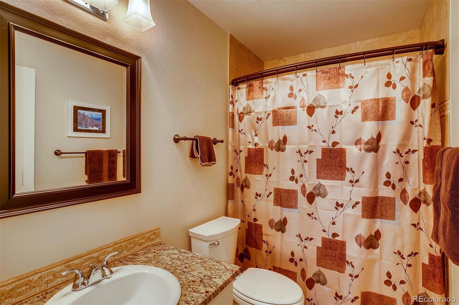 10113 Woodrose Court Highlands Ranch, CO 80129 - Photo 18 of 27