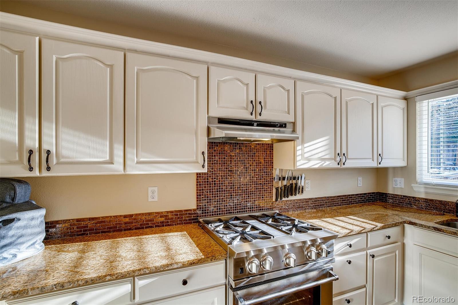 10113 Woodrose Court Highlands Ranch, CO 80129 - Photo 5 of 27