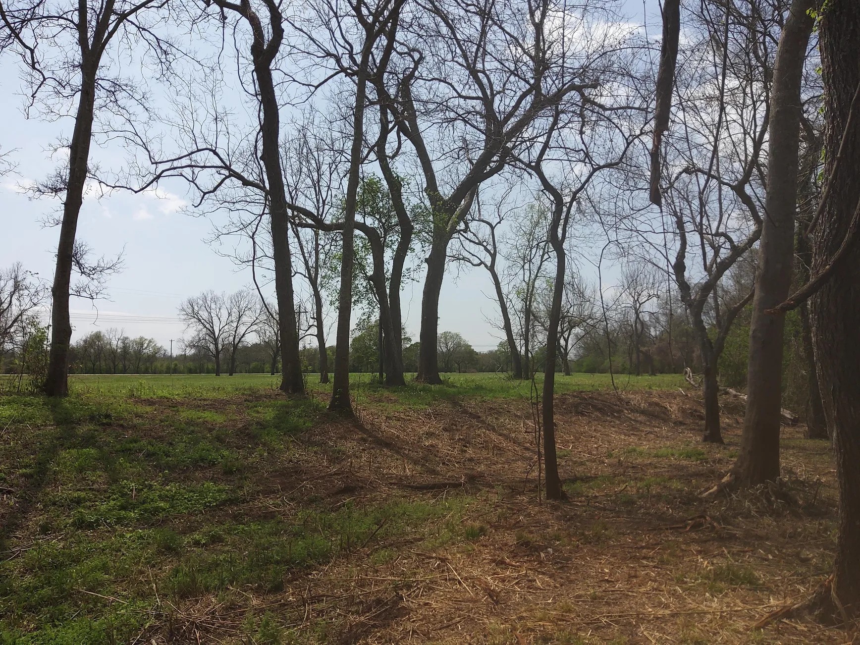Lot 1 FM 521 Road Angleton, TX 77515 - Photo 18 of 34