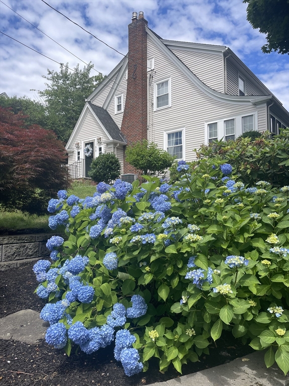 33 Ashcroft Road Medford, MA 02155 - Photo 30 of 30 a front view of house with a lot of flowers