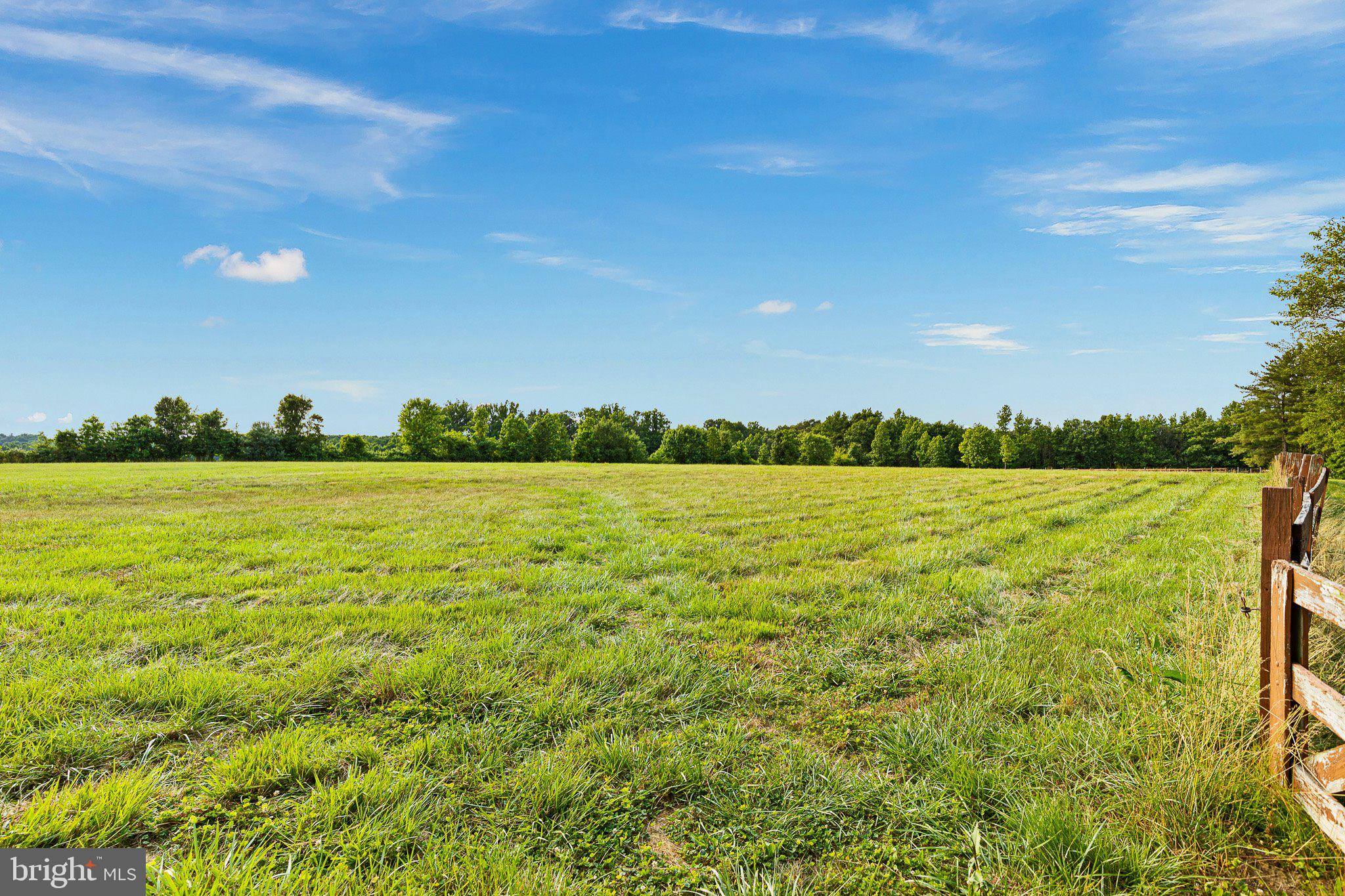 19 Feeder Road Elkton, MD 21921 - Photo 34 of 34 Bring your horses