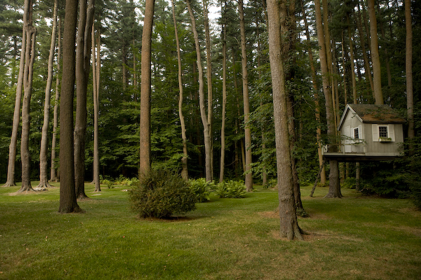 6 Glendale Road Stockbridge, MA 01229 - Photo 17 of 45 a view of a back yard