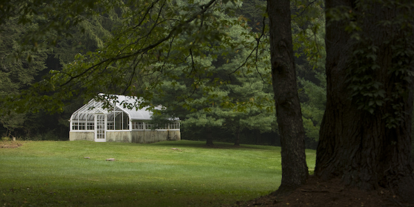 6 Glendale Road Stockbridge, MA 01229 - Photo 40 of 45 a white house with a big yard plants and large trees