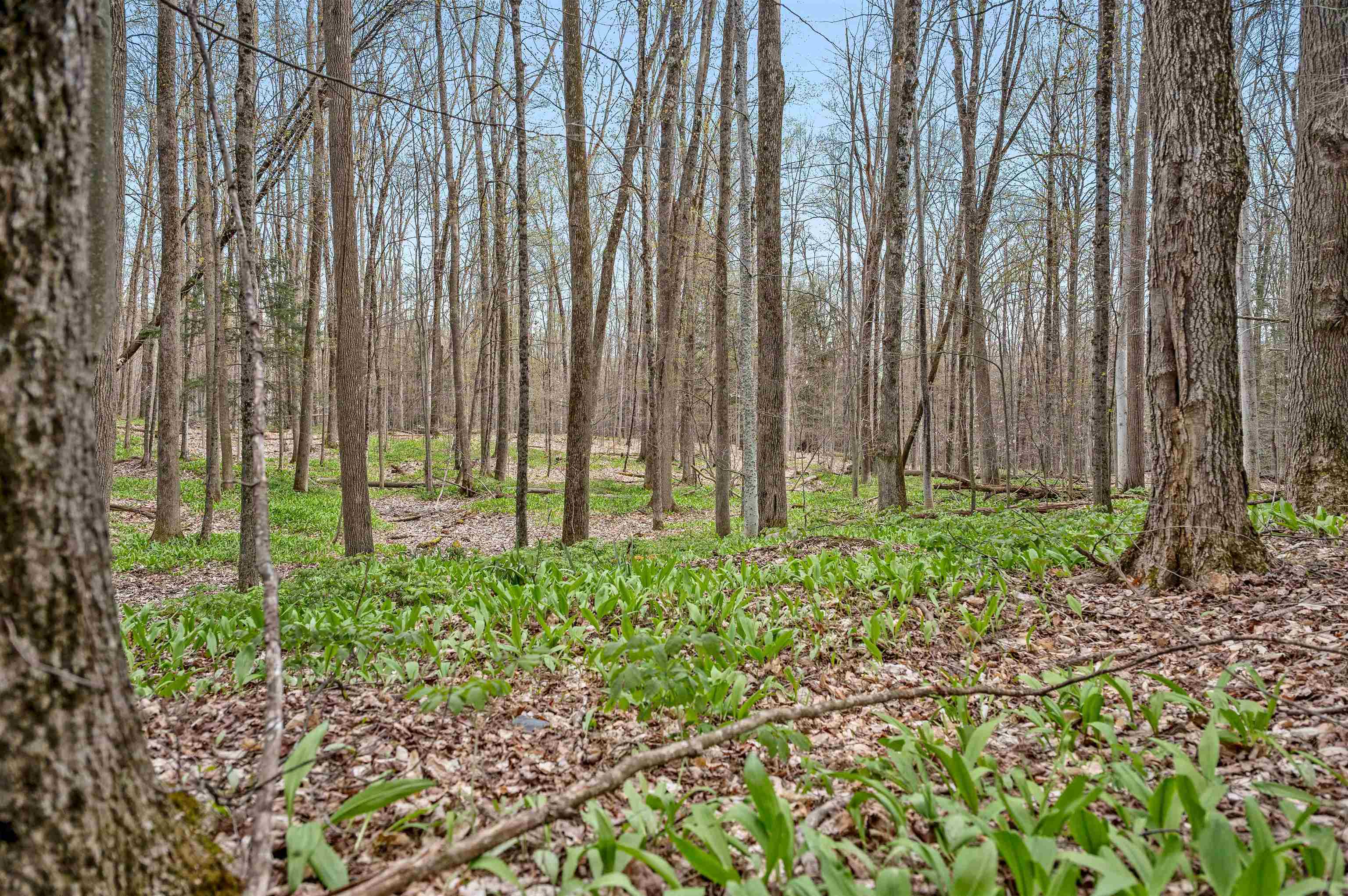 170 Spring Hollow Lane Montpelier, VT 05602 - Photo 59 of 60