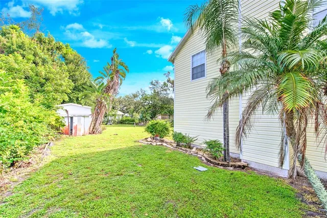 a view of a trees with a yard