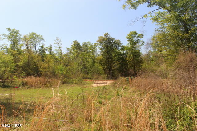 1996 Crooms Road Cottondale, FL 32431 - Photo 6 of 15
