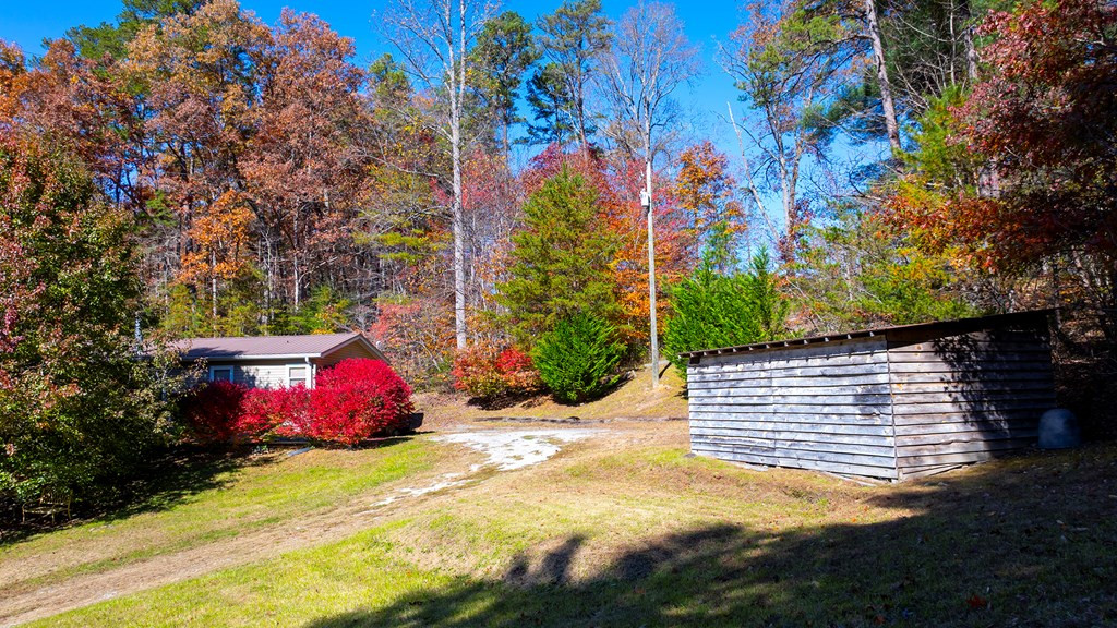 173-130 Edwards Cove Road Bryson City, NC 28713 - Photo 7 of 17