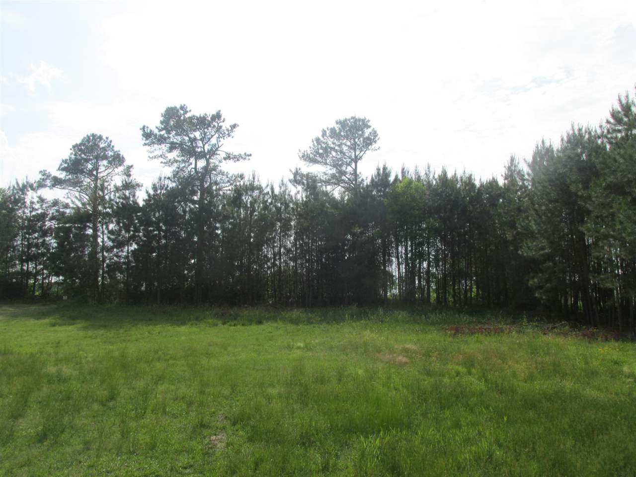 715 Barnes Lake Road Middlesex, NC 27557 - Photo 14 of 25 Photo 14