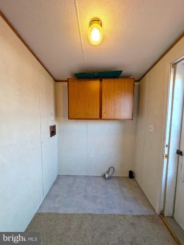 a backyard of a house with plants and large tree