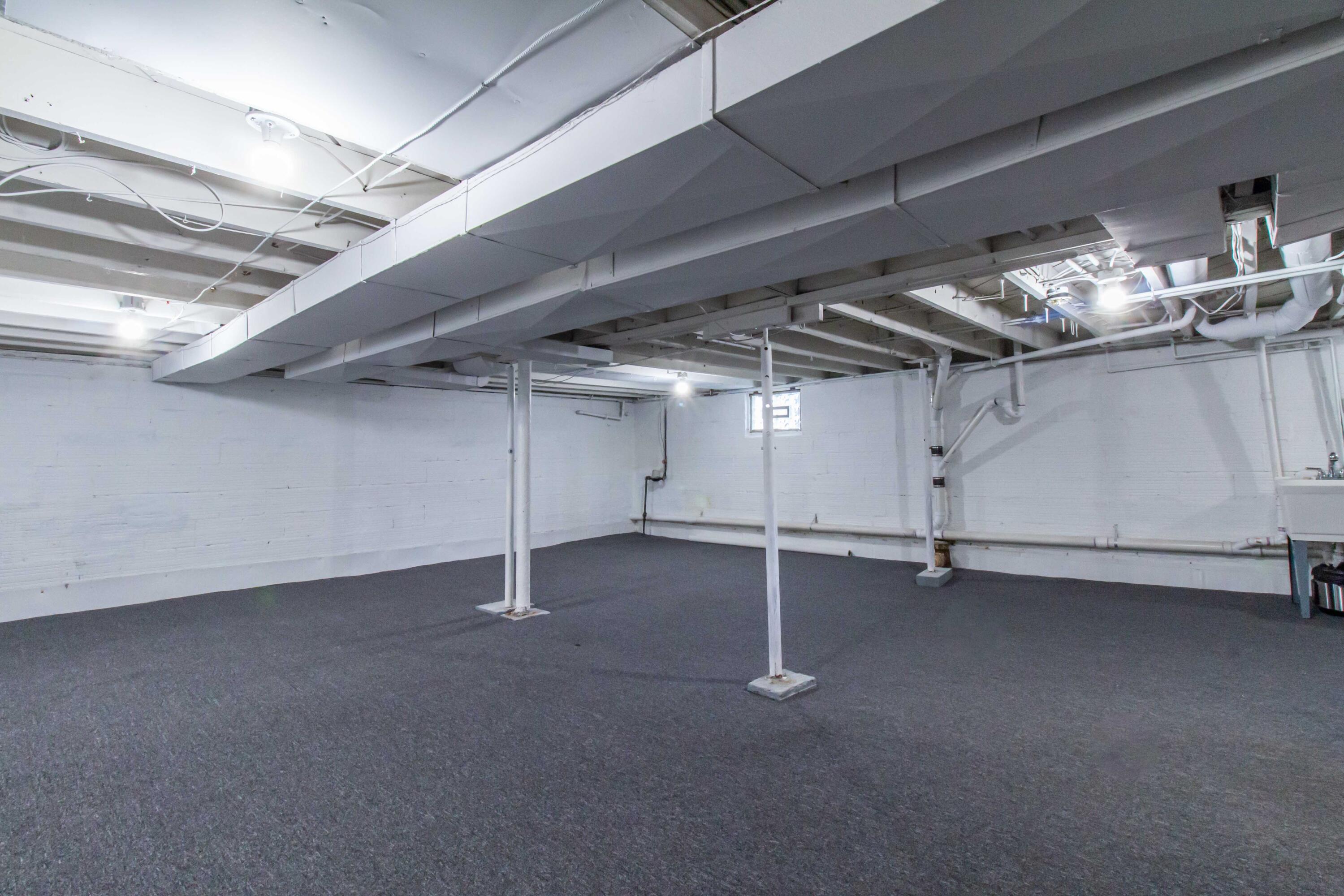 1348 Ruffner Avenue Birmingham, MI 48009 - Photo 29 of 35 08 basement 1