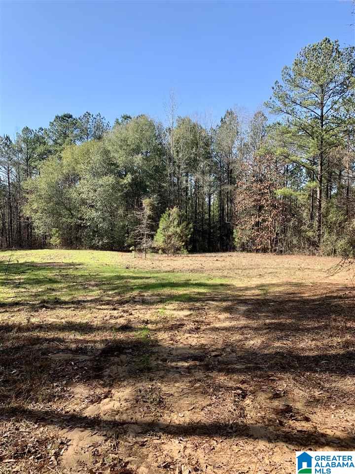 0 Donald Stewart Road, Unit 452 Marion, AL 36756 - Photo 16 of 29 Gallery Image 16