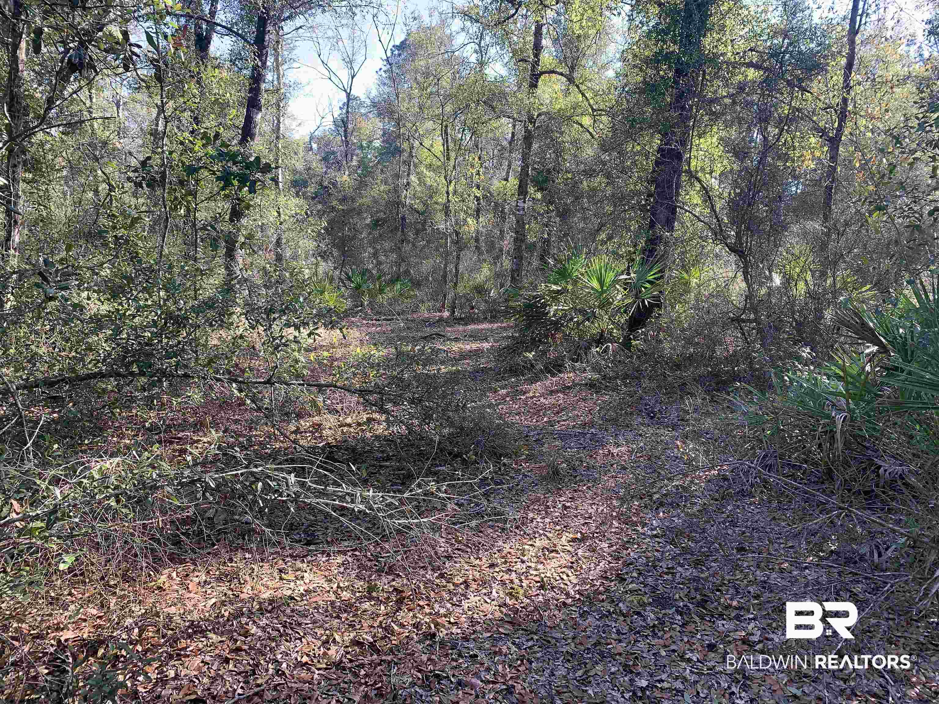 25270 Old Foley Road Elberta, AL 36530 - Photo 10 of 14