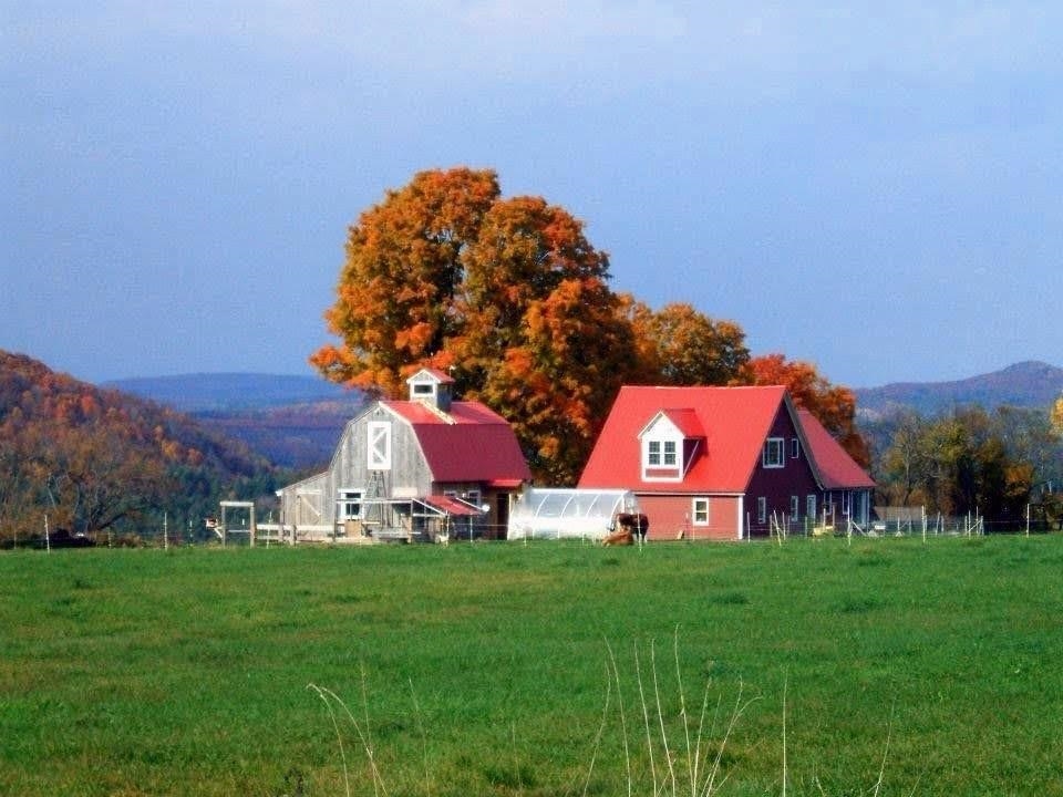 1126 Jefferson Hill Road Newbury, VT 05069 - Photo 1 of 56