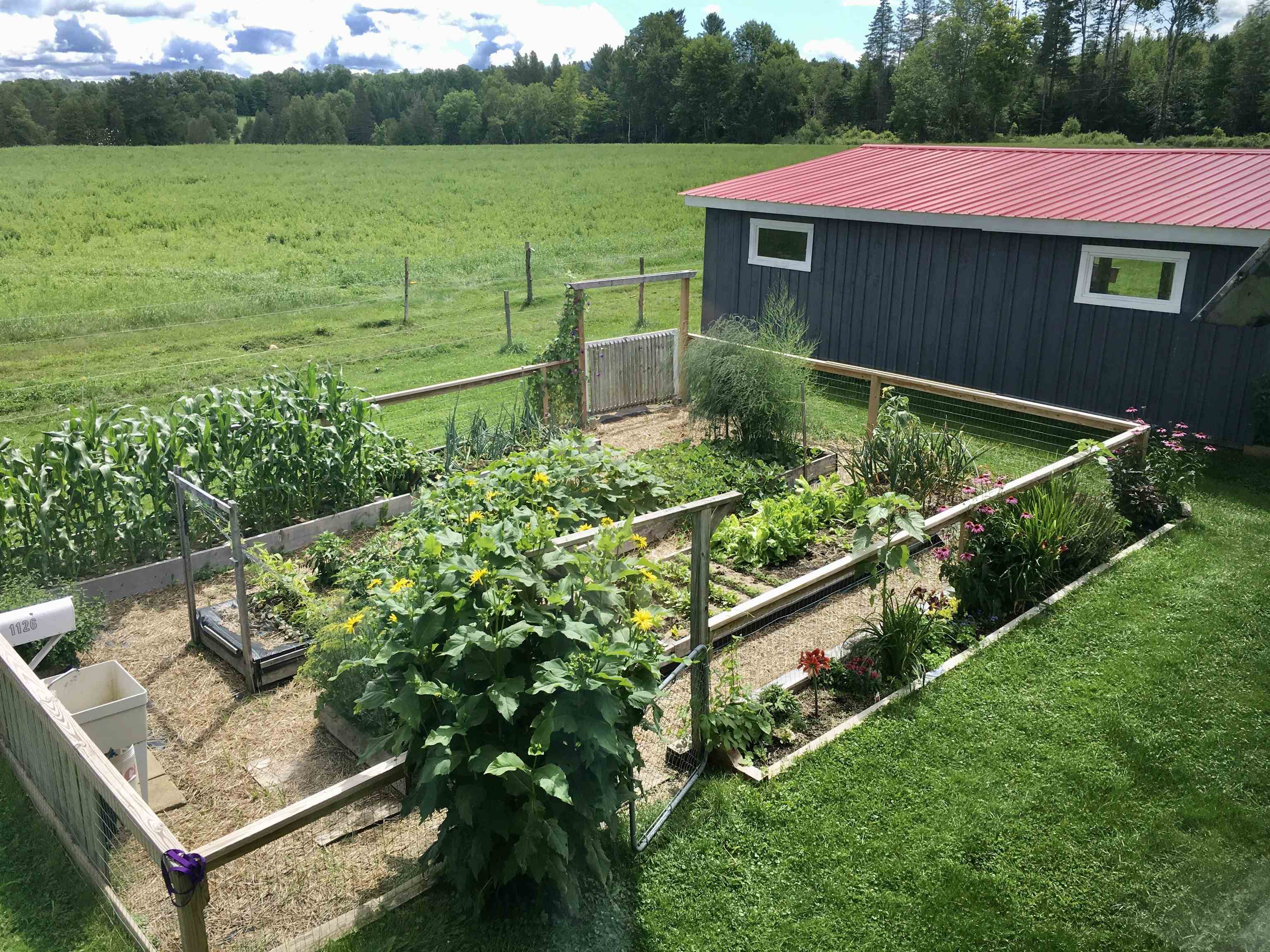 1126 Jefferson Hill Road Newbury, VT 05069 - Photo 38 of 56