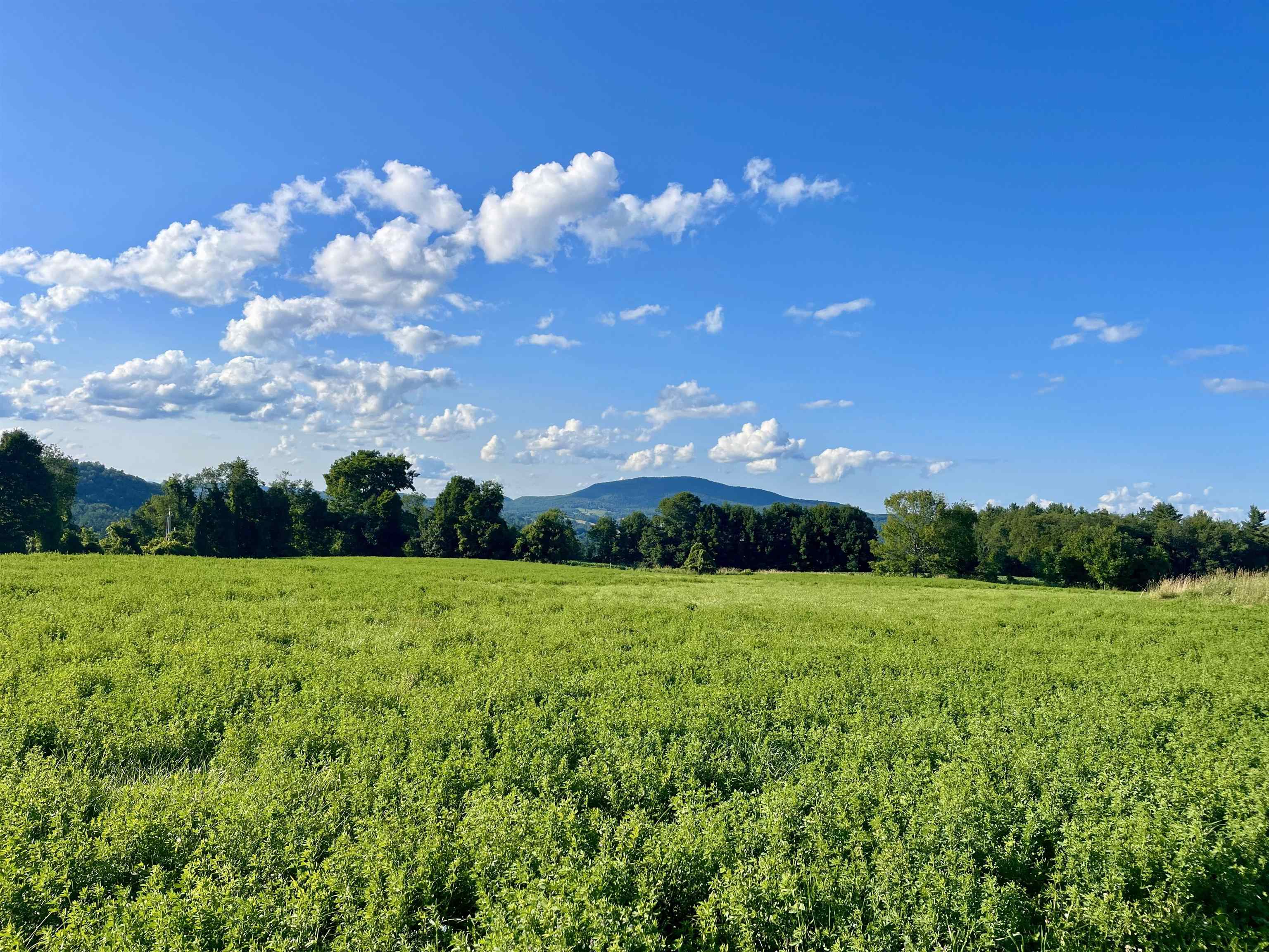 1126 Jefferson Hill Road Newbury, VT 05069 - Photo 48 of 56