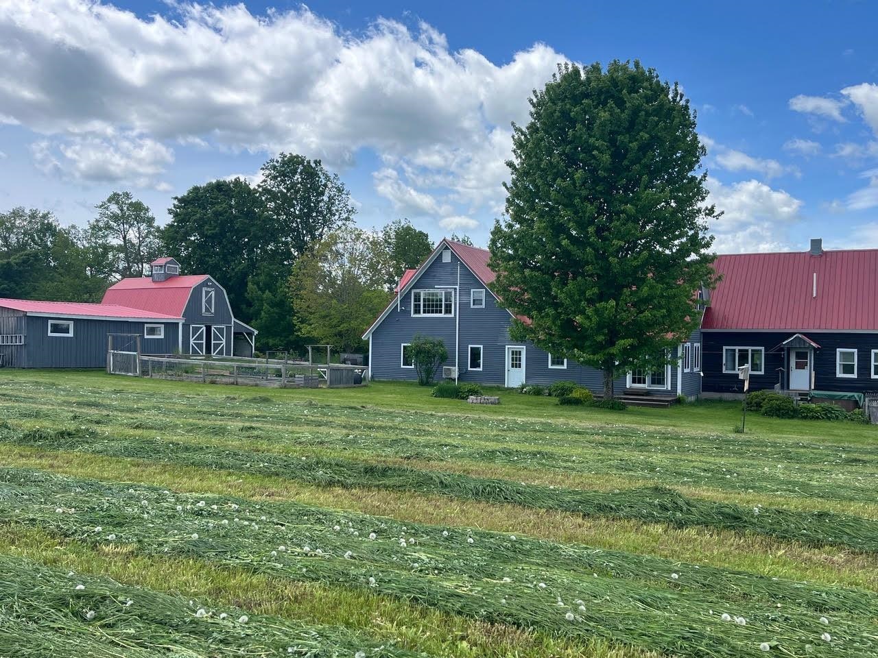 1126 Jefferson Hill Road Newbury, VT 05069 - Photo 54 of 56