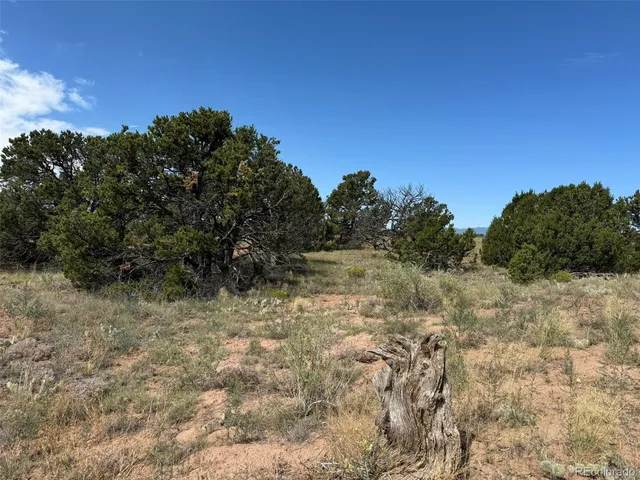 a view of a yard with a tree