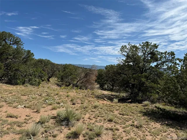 a view of a dry yard with lots of bushes