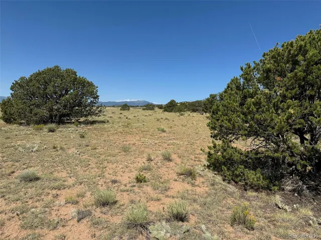 a view of a dry yard with wooden fence